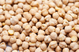 Dried Chick Peas for sale